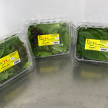 Green Lettuce